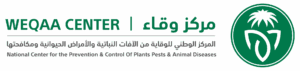 logo-green-new